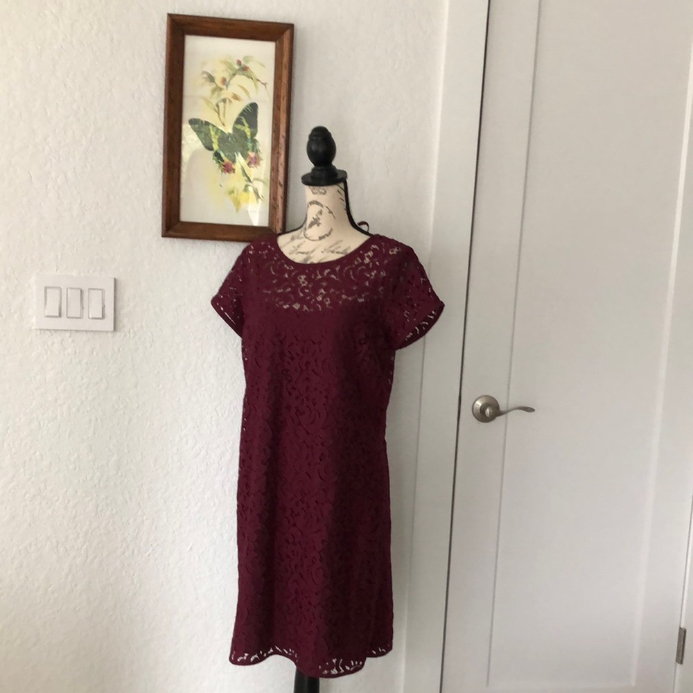 Burgundy Loft eyelet lace dress lined, size 10